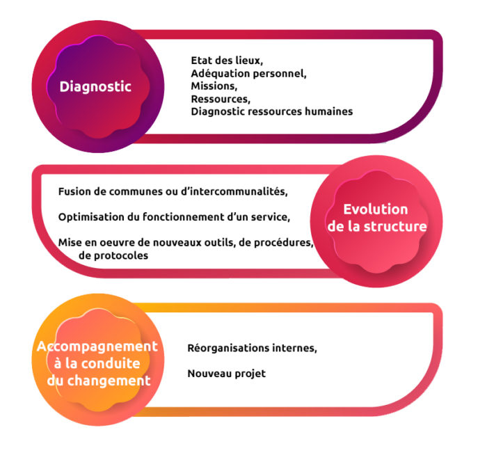 Infographie montrant le champ d'intervention du CDG48 en conseil en organisation